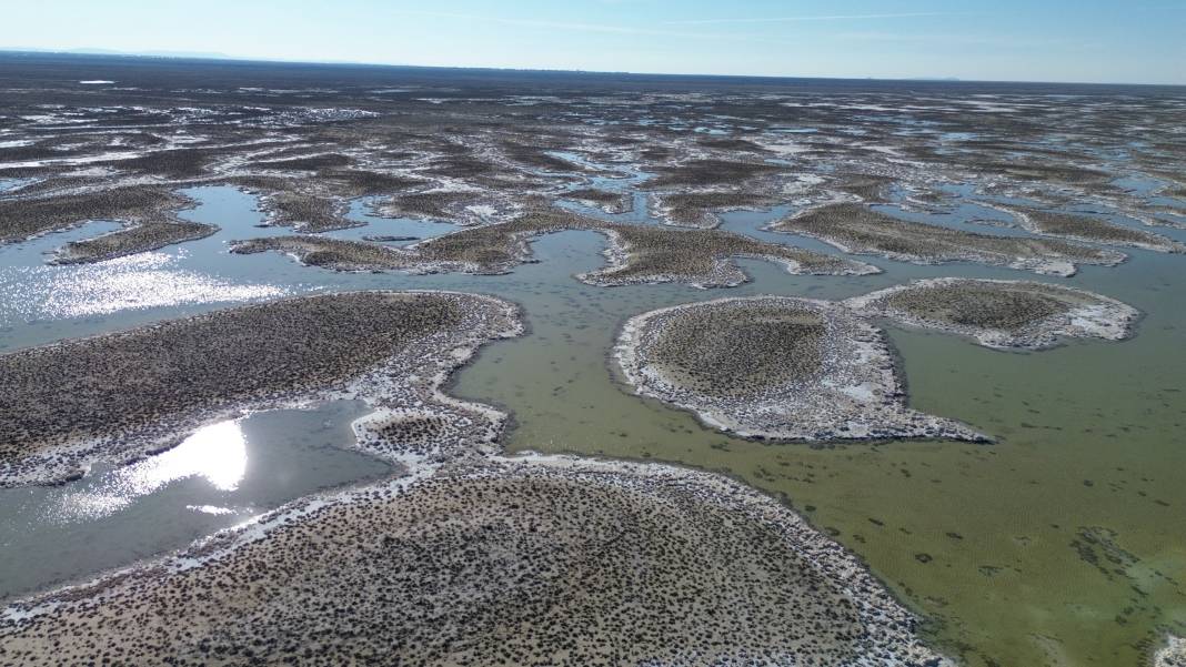 Tuz Gölü’nün son hali görenleri şaşırttı 6